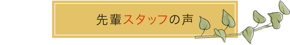 先輩スタッフの声